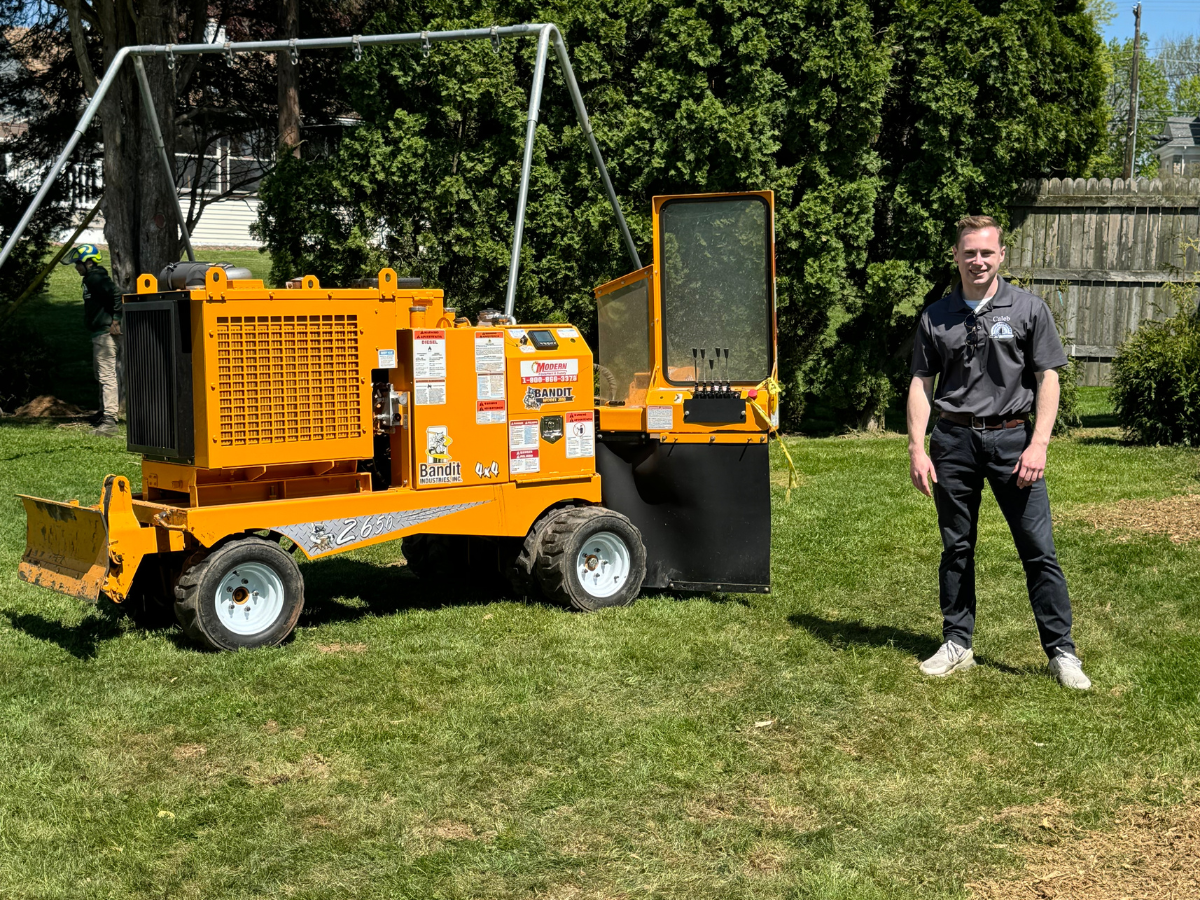 arborist tree consultant near me