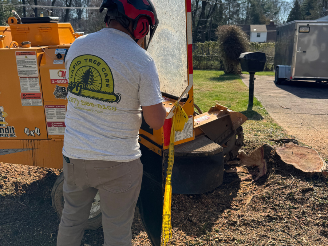 stump grinding near me